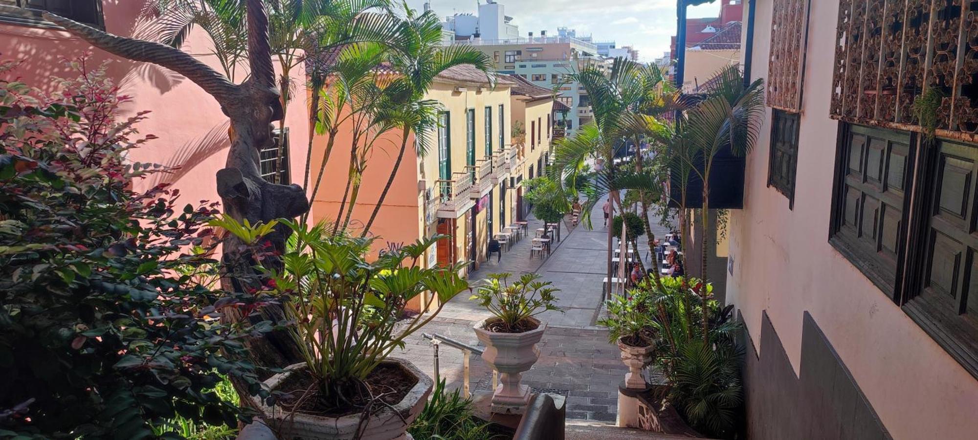 Brisa Del Sol Lejlighed Puerto de la Cruz  Eksteriør billede